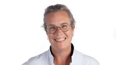 M. Hengst