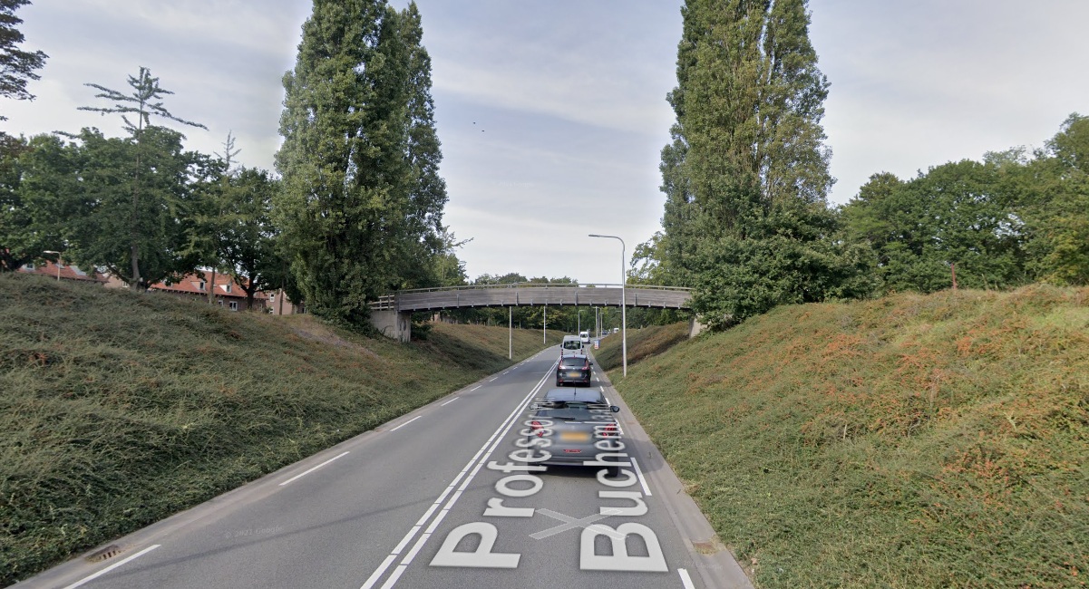 Aanzicht Prof. van Buchemlaan Tilburg